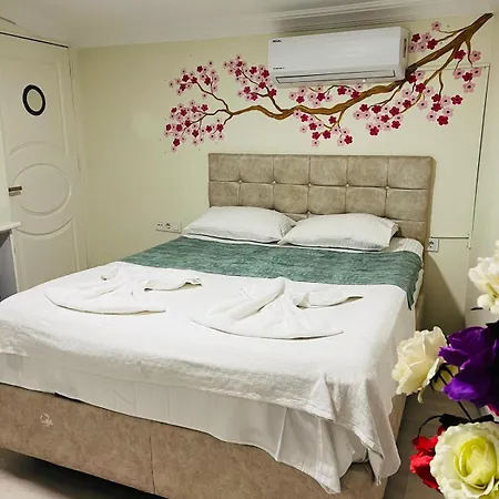 Sultanahmet Yacht * Istanbul