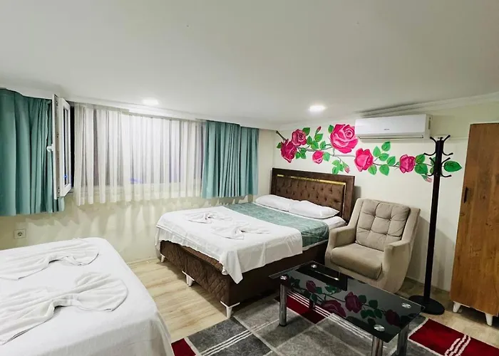 Sultanahmet yacht Hotel 3* İstanbul
