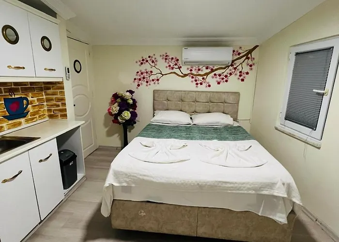 Apart Otel Sultanahmet yacht Hotel 3*